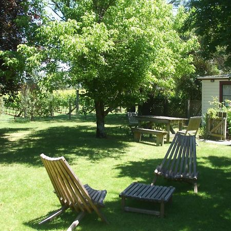 Villa In The Vines Martinborough Exterior foto