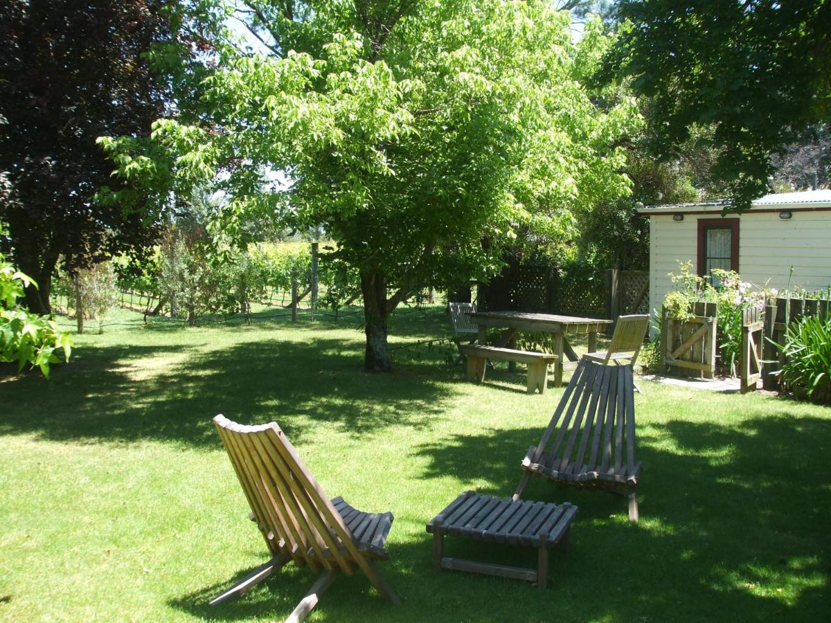 Villa In The Vines Martinborough Exterior foto